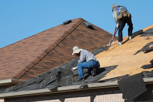 Best Commercial Roofing Services  in Spring Grove, IL