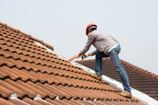 Best Roof Moss and Algae Removal  in Spring Grove, IL